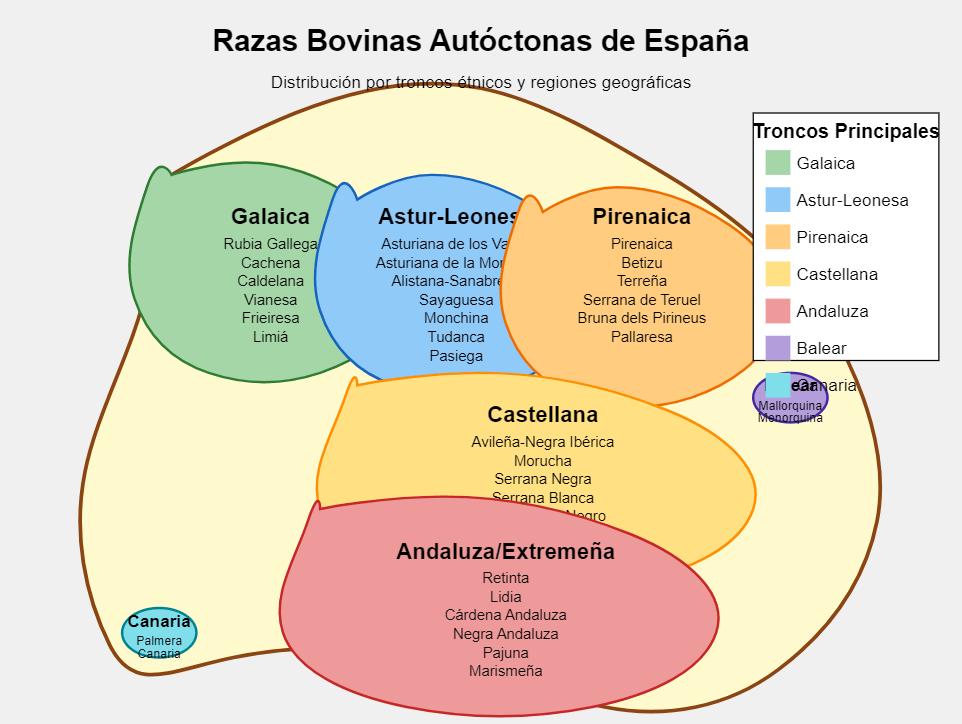 mapa razas vacuno espana
